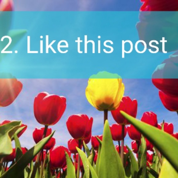 Follow game!!! Please share❤ - Picture 3 of 6